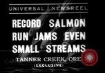 Standbild Lachs Tanner Creek Oregon USA, 1937, aus Sekunde 1 historischem Filmmaterial Videoclip 65675069215