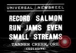 Standbild Lachs Tanner Creek Oregon USA, 1937, aus Sekunde 3 historischem Filmmaterial Videoclip 65675069215