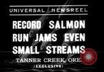 Standbild Lachs Tanner Creek Oregon USA, 1937, aus Sekunde 6 historischem Filmmaterial Videoclip 65675069215