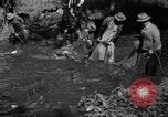 Standbild Lachs Tanner Creek Oregon USA, 1937, aus Sekunde 11 historischem Filmmaterial Videoclip 65675069215