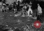 Standbild Lachs Tanner Creek Oregon USA, 1937, aus Sekunde 12 historischem Filmmaterial Videoclip 65675069215