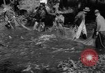 Standbild Lachs Tanner Creek Oregon USA, 1937, aus Sekunde 13 historischem Filmmaterial Videoclip 65675069215