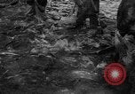 Standbild Lachs Tanner Creek Oregon USA, 1937, aus Sekunde 16 historischem Filmmaterial Videoclip 65675069215