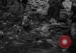 Standbild Lachs Tanner Creek Oregon USA, 1937, aus Sekunde 17 historischem Filmmaterial Videoclip 65675069215