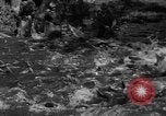 Standbild Lachs Tanner Creek Oregon USA, 1937, aus Sekunde 18 historischem Filmmaterial Videoclip 65675069215