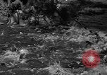 Standbild Lachs Tanner Creek Oregon USA, 1937, aus Sekunde 19 historischem Filmmaterial Videoclip 65675069215