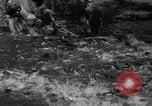 Standbild Lachs Tanner Creek Oregon USA, 1937, aus Sekunde 20 historischem Filmmaterial Videoclip 65675069215