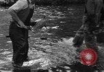 Standbild Lachs Tanner Creek Oregon USA, 1937, aus Sekunde 21 historischem Filmmaterial Videoclip 65675069215