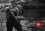 Standbild Lachs Tanner Creek Oregon USA, 1937, aus Sekunde 23 historischem Filmmaterial Videoclip 65675069215