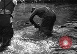 Standbild Lachs Tanner Creek Oregon USA, 1937, aus Sekunde 30 historischem Filmmaterial Videoclip 65675069215