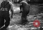 Standbild Lachs Tanner Creek Oregon USA, 1937, aus Sekunde 31 historischem Filmmaterial Videoclip 65675069215