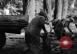 Standbild Lachs Tanner Creek Oregon USA, 1937, aus Sekunde 33 historischem Filmmaterial Videoclip 65675069215