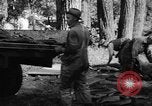 Standbild Lachs Tanner Creek Oregon USA, 1937, aus Sekunde 34 historischem Filmmaterial Videoclip 65675069215