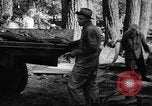 Standbild Lachs Tanner Creek Oregon USA, 1937, aus Sekunde 35 historischem Filmmaterial Videoclip 65675069215