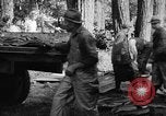 Standbild Lachs Tanner Creek Oregon USA, 1937, aus Sekunde 36 historischem Filmmaterial Videoclip 65675069215