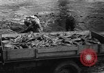 Standbild Lachs Tanner Creek Oregon USA, 1937, aus Sekunde 37 historischem Filmmaterial Videoclip 65675069215