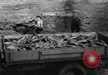 Standbild Lachs Tanner Creek Oregon USA, 1937, aus Sekunde 38 historischem Filmmaterial Videoclip 65675069215