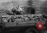 Standbild Lachs Tanner Creek Oregon USA, 1937, aus Sekunde 39 historischem Filmmaterial Videoclip 65675069215