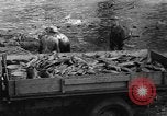 Standbild Lachs Tanner Creek Oregon USA, 1937, aus Sekunde 40 historischem Filmmaterial Videoclip 65675069215