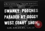 Standbild nationalen Winter dog show Los Angeles California USA, 1937, aus Sekunde 1 historischem Filmmaterial Videoclip 65675069217