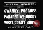 Standbild nationalen Winter dog show Los Angeles California USA, 1937, aus Sekunde 3 historischem Filmmaterial Videoclip 65675069217