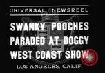 Standbild nationalen Winter dog show Los Angeles California USA, 1937, aus Sekunde 4 historischem Filmmaterial Videoclip 65675069217