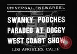 Standbild nationalen Winter dog show Los Angeles California USA, 1937, aus Sekunde 6 historischem Filmmaterial Videoclip 65675069217