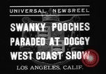 Standbild nationalen Winter dog show Los Angeles California USA, 1937, aus Sekunde 7 historischem Filmmaterial Videoclip 65675069217