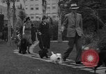 Standbild nationalen Winter dog show Los Angeles California USA, 1937, aus Sekunde 8 historischem Filmmaterial Videoclip 65675069217