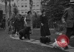 Standbild nationalen Winter dog show Los Angeles California USA, 1937, aus Sekunde 9 historischem Filmmaterial Videoclip 65675069217