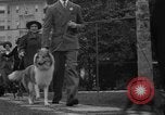 Standbild nationalen Winter dog show Los Angeles California USA, 1937, aus Sekunde 11 historischem Filmmaterial Videoclip 65675069217