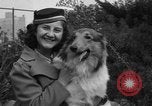 Standbild nationalen Winter dog show Los Angeles California USA, 1937, aus Sekunde 19 historischem Filmmaterial Videoclip 65675069217