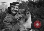 Standbild nationalen Winter dog show Los Angeles California USA, 1937, aus Sekunde 20 historischem Filmmaterial Videoclip 65675069217
