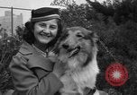 Standbild nationalen Winter dog show Los Angeles California USA, 1937, aus Sekunde 21 historischem Filmmaterial Videoclip 65675069217