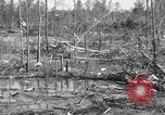 Immagine di Tornado Rodessa Louisiana USA, 1938, secondo 8 filmato di repertorio 65675069220
