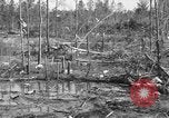 Immagine di Tornado Rodessa Louisiana USA, 1938, secondo 9 filmato di repertorio 65675069220