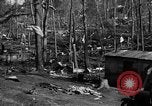 Immagine di Tornado Rodessa Louisiana USA, 1938, secondo 13 filmato di repertorio 65675069220