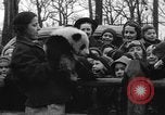 Image Ruth McCombs Harkness Brookfield Illinois USA, 1938, de la seconde 17 séquences d'archives historiques vidéo 65675069221