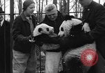 Image Ruth McCombs Harkness Brookfield Illinois USA, 1938, de la seconde 25 séquences d'archives historiques vidéo 65675069221