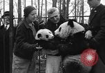 Image Ruth McCombs Harkness Brookfield Illinois USA, 1938, de la seconde 26 séquences d'archives historiques vidéo 65675069221