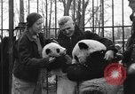Image Ruth McCombs Harkness Brookfield Illinois USA, 1938, de la seconde 27 séquences d'archives historiques vidéo 65675069221