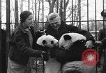 Image Ruth McCombs Harkness Brookfield Illinois USA, 1938, de la seconde 28 séquences d'archives historiques vidéo 65675069221
