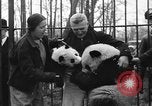 Image Ruth McCombs Harkness Brookfield Illinois USA, 1938, de la seconde 29 séquences d'archives historiques vidéo 65675069221