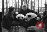 Image Ruth McCombs Harkness Brookfield Illinois USA, 1938, de la seconde 30 séquences d'archives historiques vidéo 65675069221