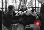 Image Ruth McCombs Harkness Brookfield Illinois USA, 1938, de la seconde 31 séquences d'archives historiques vidéo 65675069221
