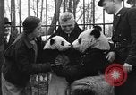 Image Ruth McCombs Harkness Brookfield Illinois USA, 1938, de la seconde 32 séquences d'archives historiques vidéo 65675069221