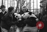 Image Ruth McCombs Harkness Brookfield Illinois USA, 1938, de la seconde 34 séquences d'archives historiques vidéo 65675069221