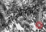 Image of War Admiral Miami Florida USA, 1938, second 9 stock footage video 65675069223