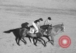 Image of War Admiral Miami Florida USA, 1938, second 18 stock footage video 65675069223