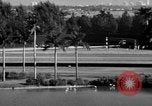 Image of War Admiral Miami Florida USA, 1938, second 24 stock footage video 65675069223